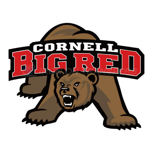 Cornell Big Red logo T-shirts Iron On Transfers N4196 - Click Image to Close
